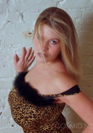 wpid-leopard-dress-tits14.jpg