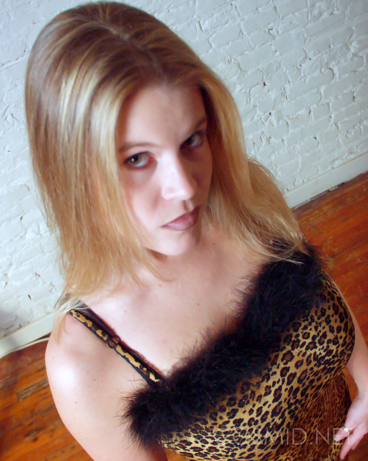 wpid-leopard-dress-tits7.jpg
