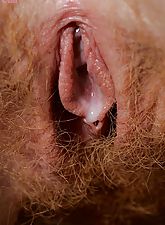 A collection of hairy amateur pussy pictures